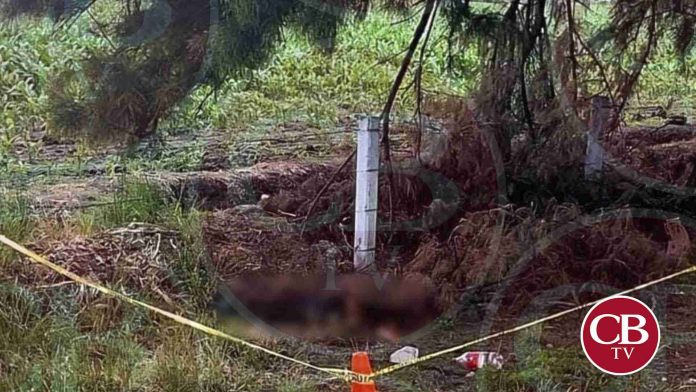 Lo reportaban atropellado, pero estaba baleado en la de Occidente