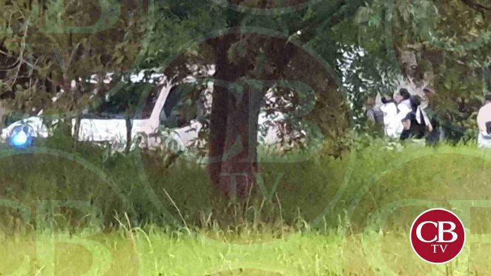 Hallan 8 osamentas humanas en paraje de Tarímbaro