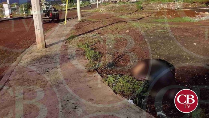 Le balean la cara en Ario de Rayón