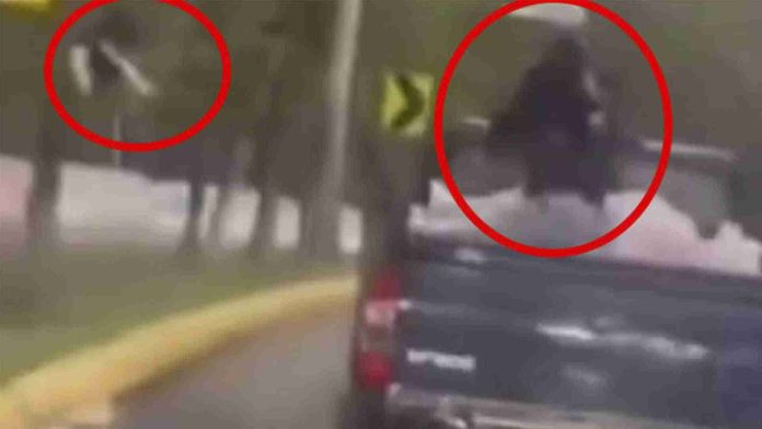 Captan  sujeto lanzando gatitos desde una camioneta en Edomex