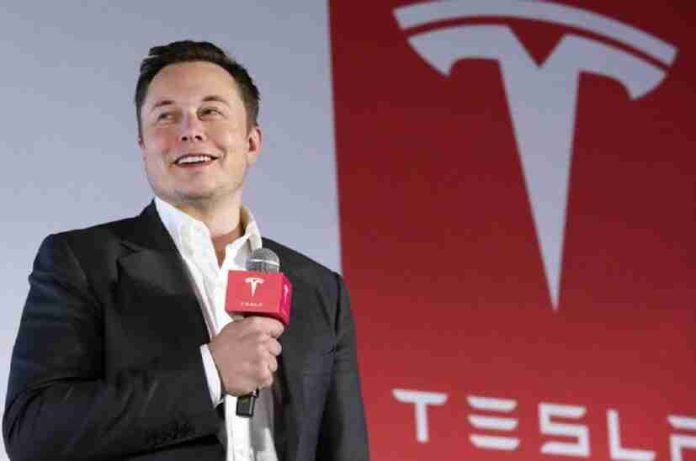 Elon Musk pausa la planta de Tesla en México hasta después de las elecciones en EU