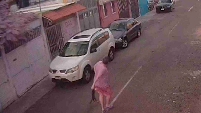 Hombre lanza a un gatito contra cableado de luz en Querétaro