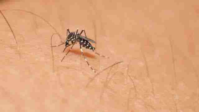 IMG-20240705-WA0028