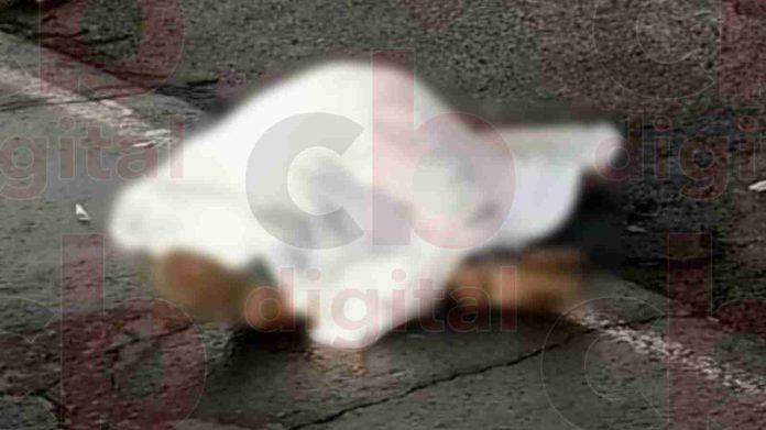Atropellan a turista queretano en Zamora