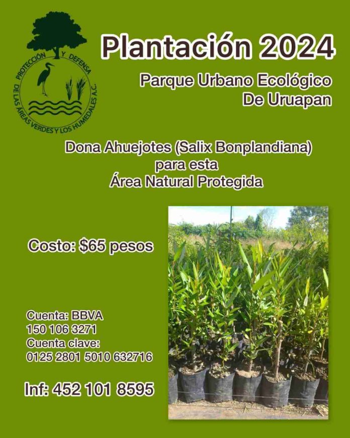 Inician la campaña: Dona Ahuejotes para el Parque Urbano Ecológico de Uruapan