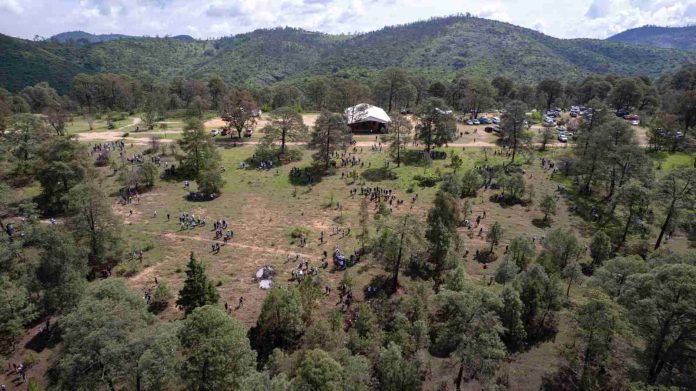 Arrancó reforestación simultánea en 12 municipios de Michoacán