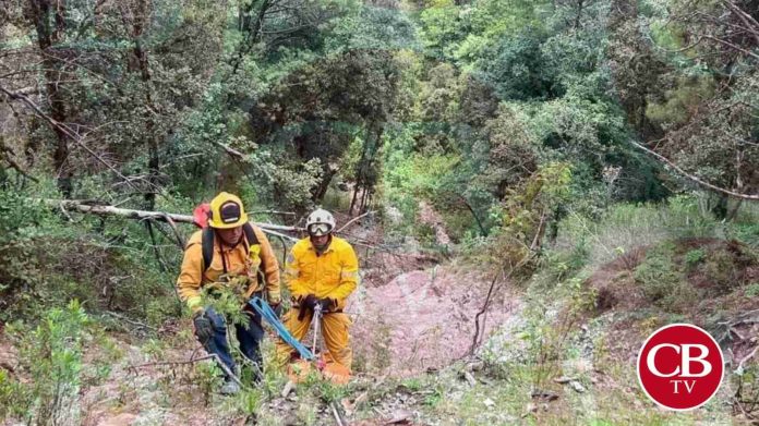 Se mata al caer con su camioneta a un barranco
