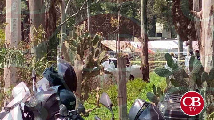 En 2024, han asesinado a 5 policías y 4 militares en Michoacán