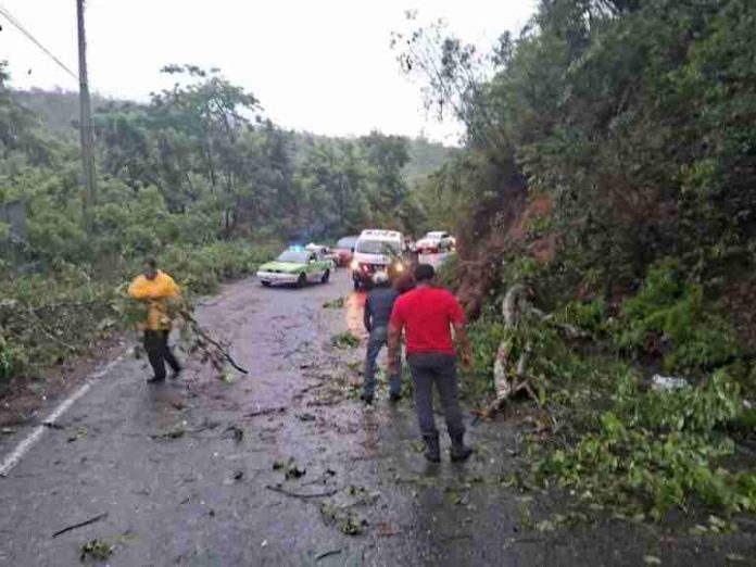 Tormenta Tropical Chris deja severas afectaciones en Veracruz