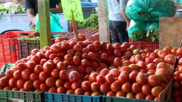 Sorpresa, baja hasta $20 pesitos el jitomate en Mercado de Abastos.