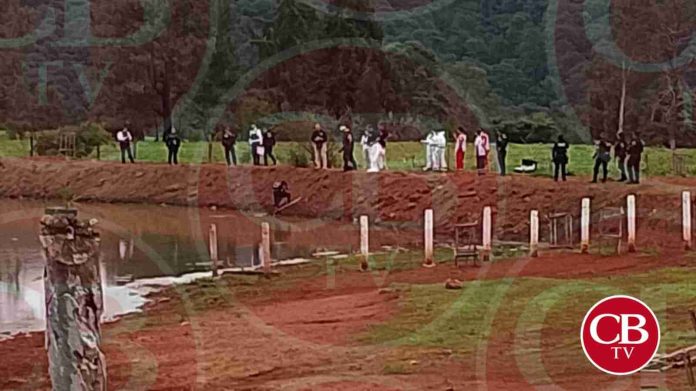 Le balean la cabeza en una Laguna, al sur de Morelia