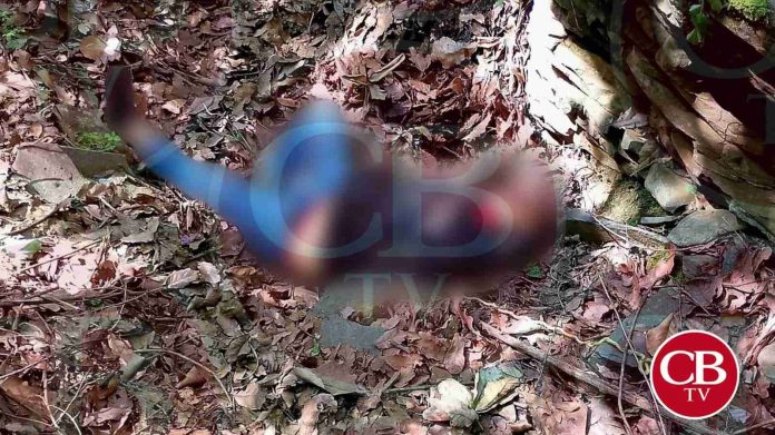 Hallan dos cuerpos calcinados en un auto abandonado en Uruapan