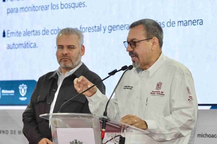 Se envió a empaques de aguacate, lista de huertas que incurrieron en deforestación: Bedolla
