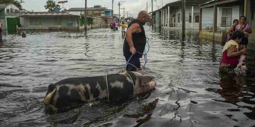 Sube a 40 la cifra de muertos tras paso de tormenta tropical Helene