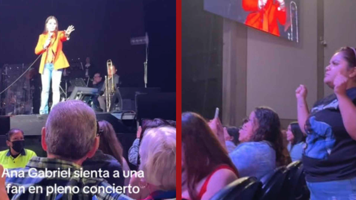 Critican a Ana Gabriel por ‘humillar’ a fan en pleno concierto