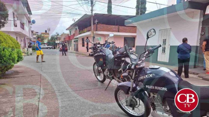 Asesinan a niño cortador de aguacate en las calles de Uruapan