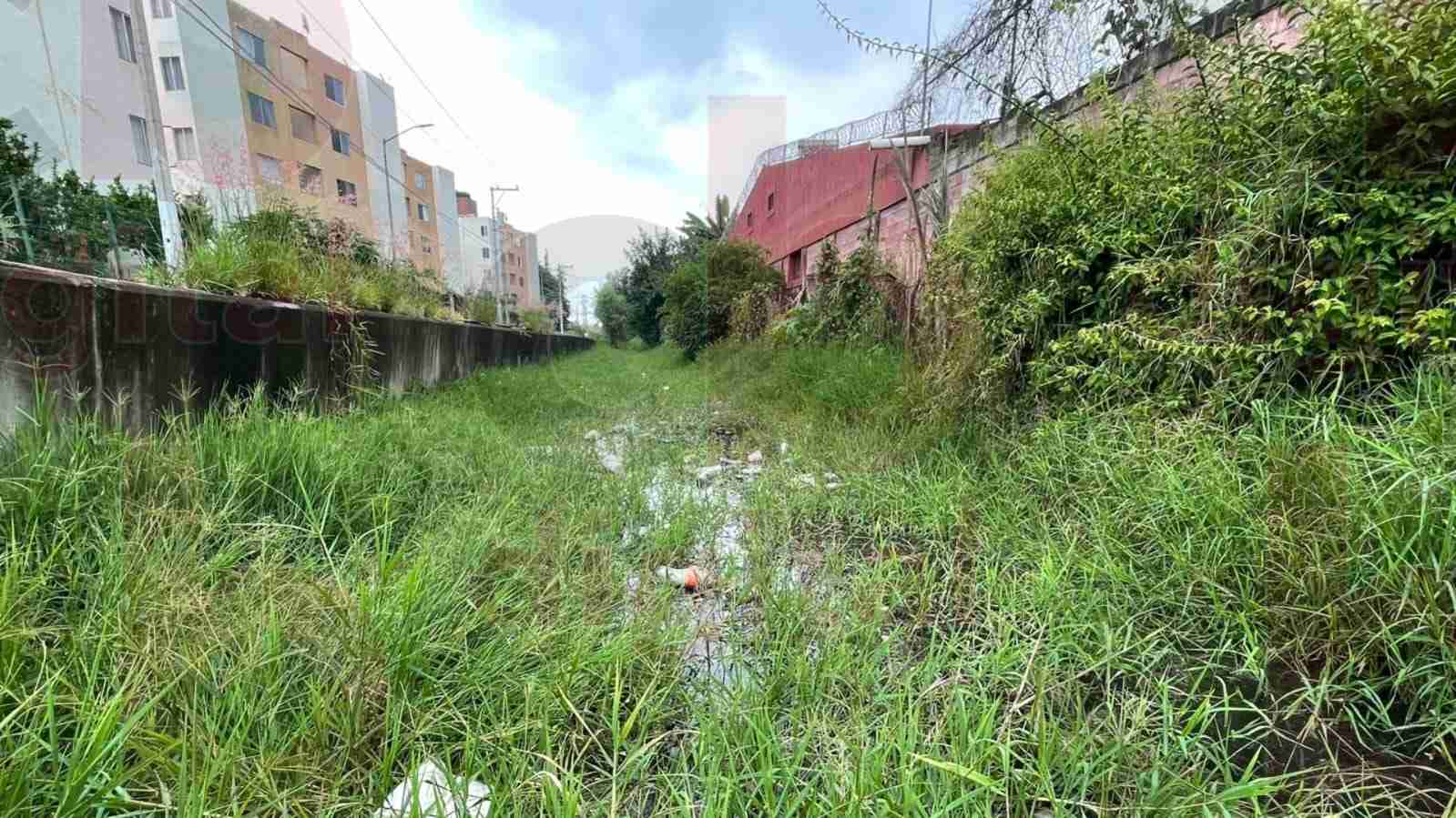 Vecinos de Campestre del Vergel piden limpieza de arroyo por estancamiento de aguas negras Vecinos de Campestre del Vergel piden limpieza de arroyo por estancamiento de aguas negras
