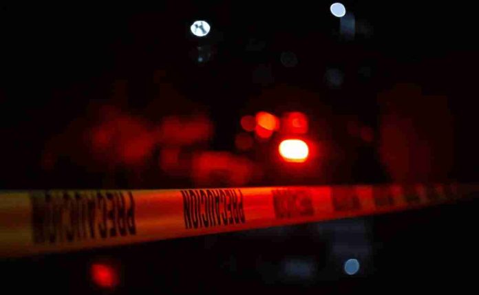 7 muertos tras masacre en pelea de gallos clandestina