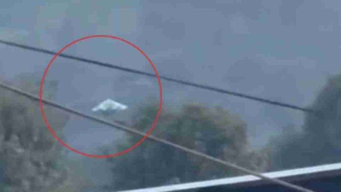 #Video: Sorprende OVBNI a pobladores de Zitácuaro