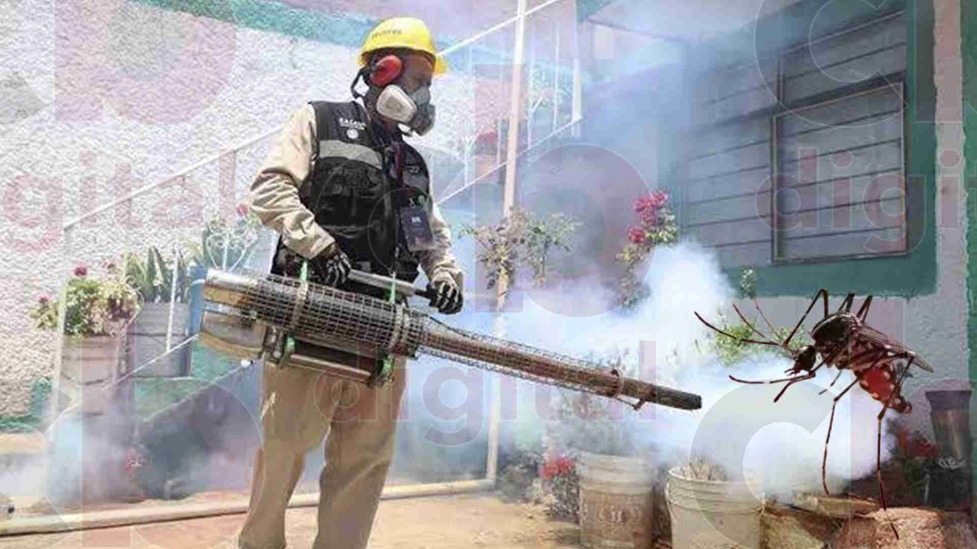 10 fallecidos y más de 3 mil personas infectadas de dengue registra Michoacán 10 fallecidos y más de 3 mil personas infectadas de dengue registra Michoacán