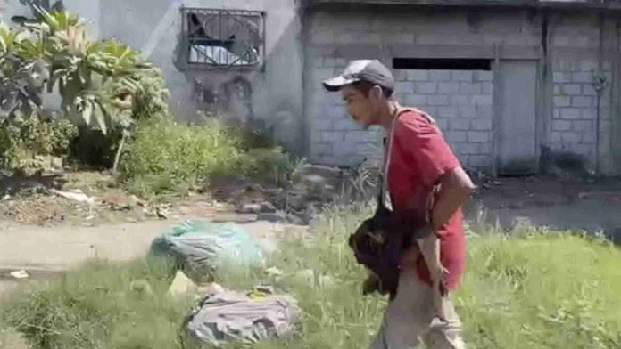 Captan a hombre comiéndose la cabeza de un perro en Veracruz