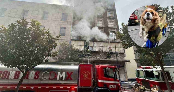 Incendio consume bodega en edificio de CDMX; rescatan a mujer y su mascota
