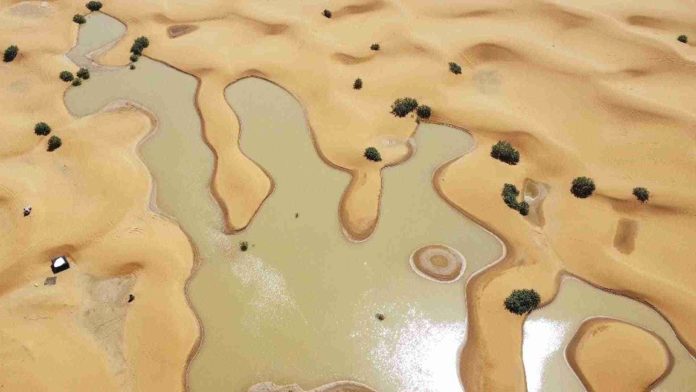 Se registran inusuales lluvias en el desierto del Sahara