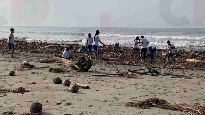 Disminuye desove de tortuga marina por basura que dejó sobre la playa Huracán John