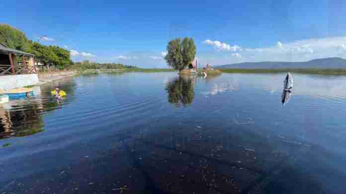 Solo un 5% del Lago de Cuitzeo está en condiciones para pescar charales y mojarra