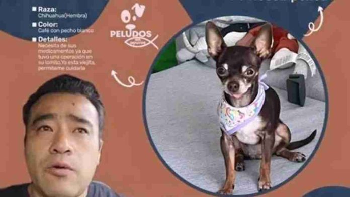 #Video: Buscan a 