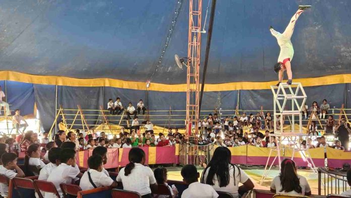 Estudiantes disfrutan matiné organizada por el DIF en el Circo Alejandro Atayde