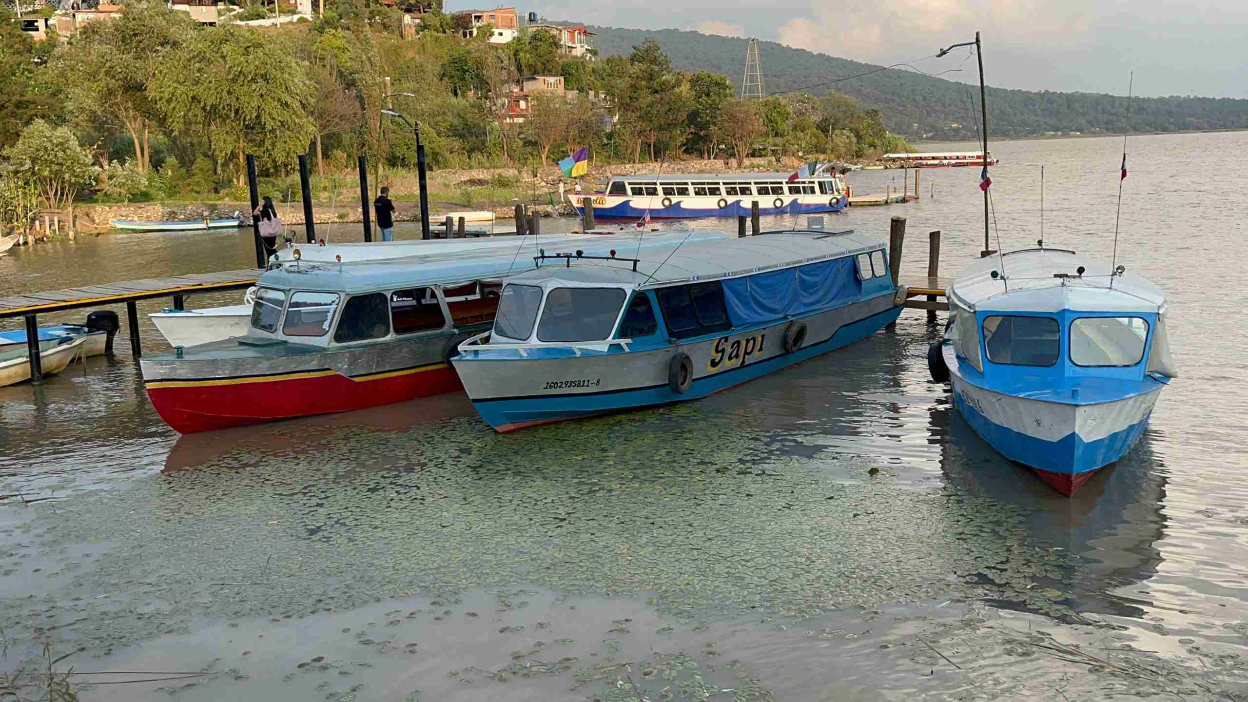 IMG-20241109-WA0069