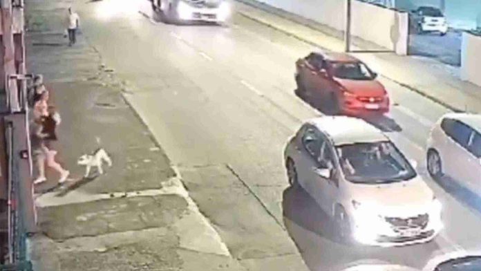 Pitbull salta de auto en movimiento y ataca a una mujer con su mascota