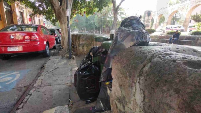 Situación alarmante de plaga de ratas en Morelia