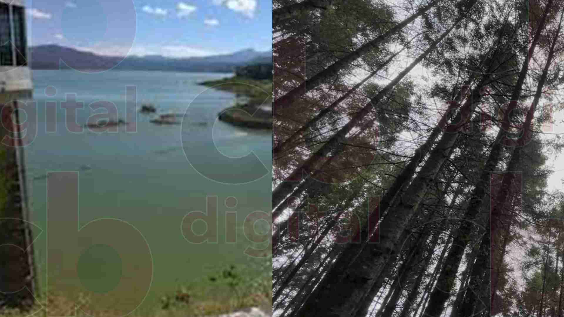 Para mejorar condiciones del sistema Cutzamala hay que invertir en los bosques de Michoacán Para mejorar condiciones del sistema Cutzamala hay que invertir en los bosques de Michoacán