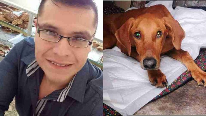 Encuentran sin vida a catequista defensor de los animales en Veracruz