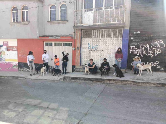 Un milagro para los olvidados: GHAPAD lanza su convocatoria 'Pancitas Llenas