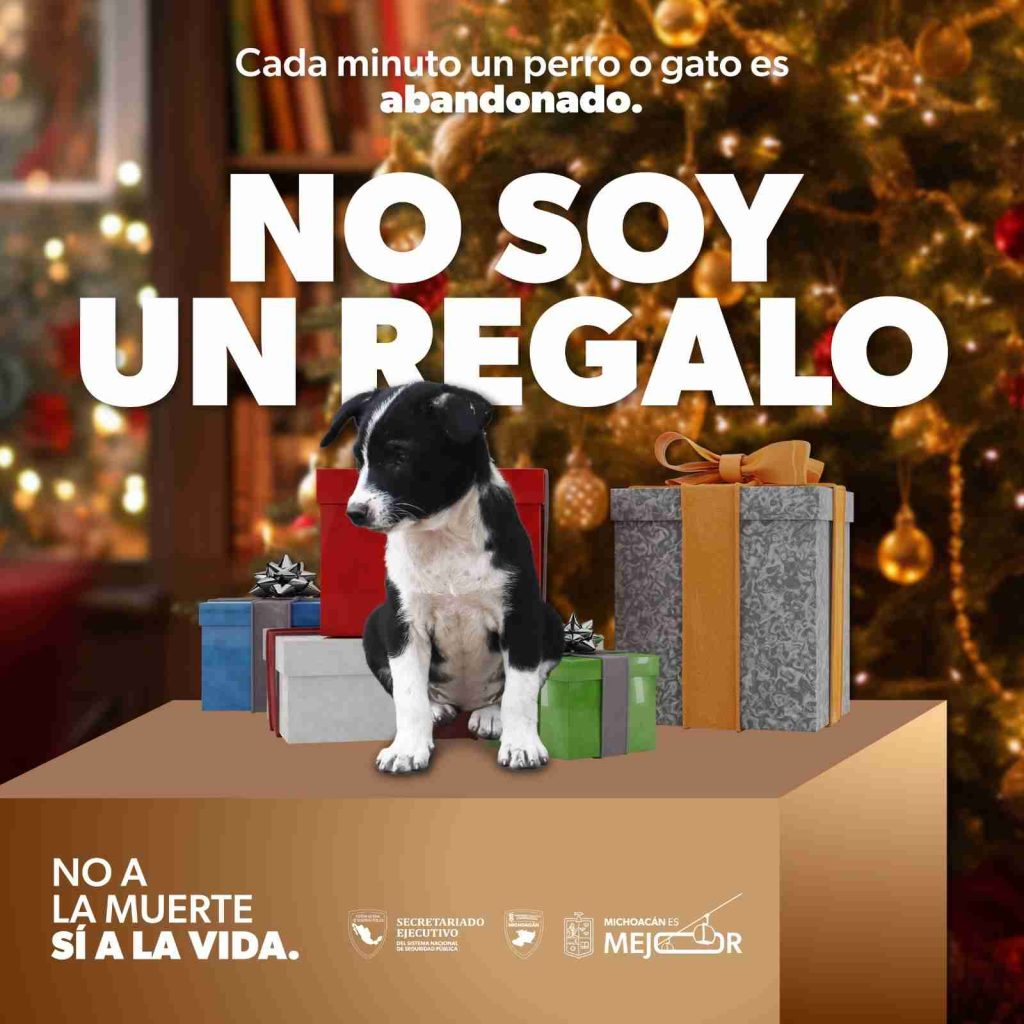 Morelia, Michoacán, 12 de diciembre de 2024.- Cada minuto, un perro o gato es abandonado en el país, alertó el titular del Secretariado Ejecutivo del Sistema Estatal de Seguridad Pública (SESESP), César Erwin Sánchez Coria, al dar a conocer la campaña “No a la muerte, sí a la vida”, con la que se busca sensibilizar a la población sobre la importancia de prevenir el maltrato y abandono animal.