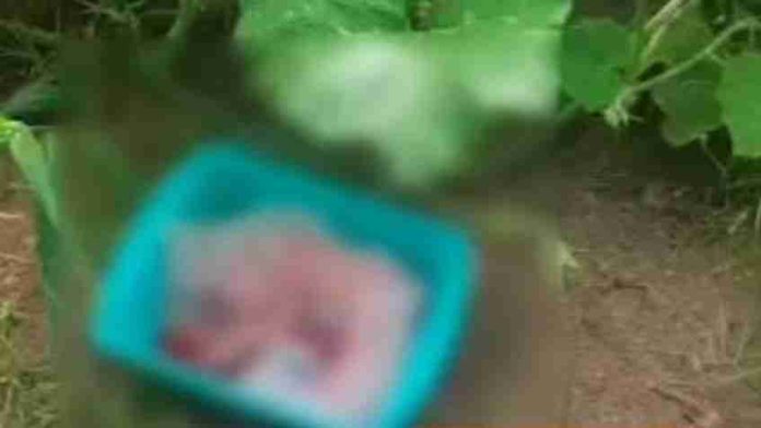 Abandonan a recién nacido en tina y envuelto en bolsas de plástico