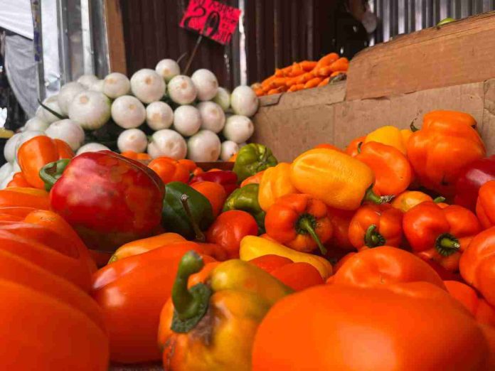 Canasta Básica: Precios Accesibles en Morelia