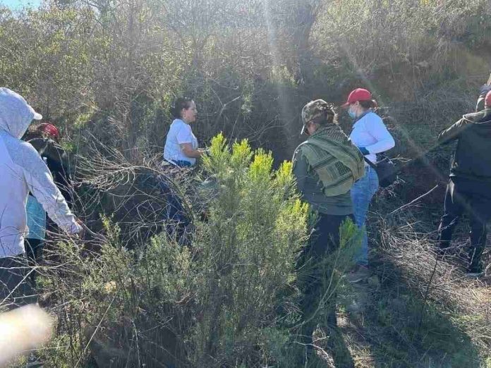 Necesario un plan estatal de búsqueda en Michoacán: Colectivos