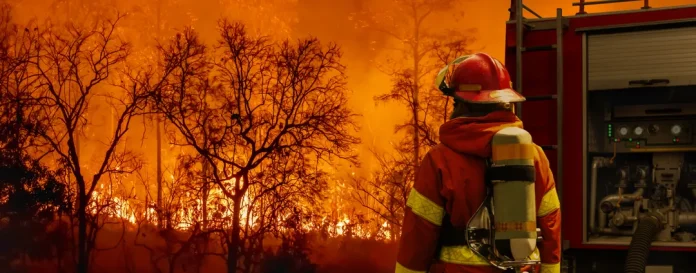 Refugios de animales se llenan de caballos, cerdos y cacatúas en Los Ángeles por incendios