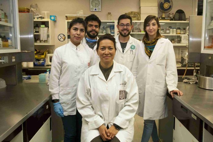 Científica mexicana elimina el VPH en su totalidad