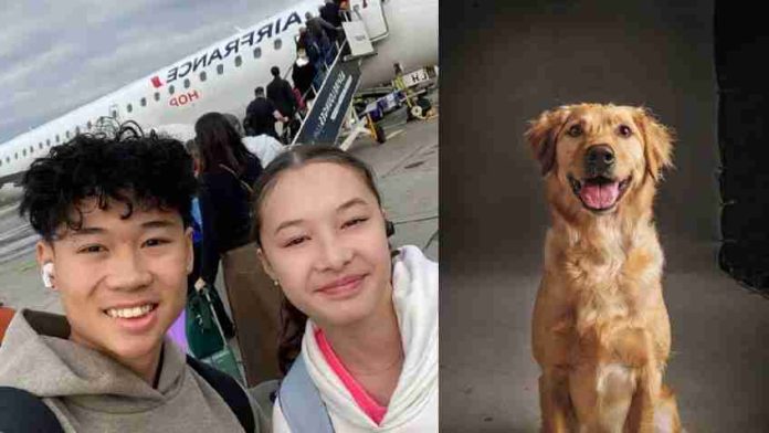 Patinador sobrevive a tragedia aérea gracias a su perro
