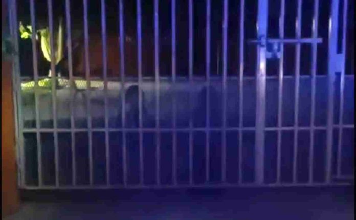 #VIDEO: Policías captan supuestos niños fantasmas en primaria
