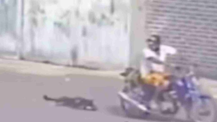 Sujeto amarra a perrita a su motocicleta y la arrastra 