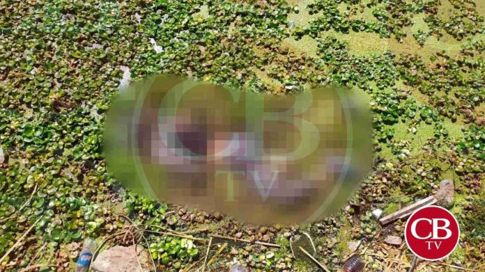 Localizan joven ahogado en el Lago de Cuitzeo