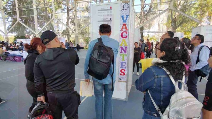 Michoacán enfrenta desafío de empleo juvenil