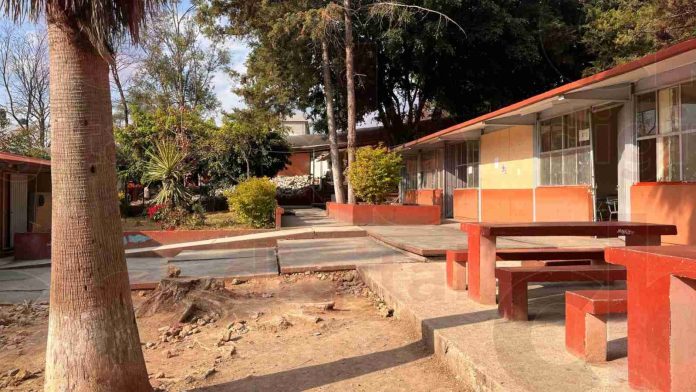 Panal de avispas en secundaria, un problema sin solución