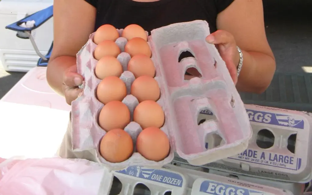 Docena de huevos alcanza cifra récord en EE.UU. Docena de huevos alcanza cifra récord en EE.UU.